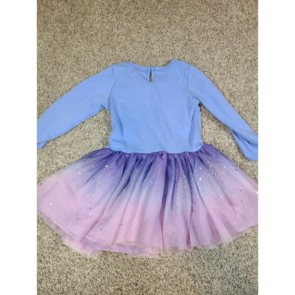Counting Daisies long-sleeve toddler tutu‎ dress 3T